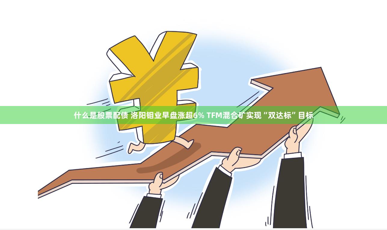 什么是股票配债 洛阳钼业早盘涨超6% TFM混合矿实现“双达标”目标