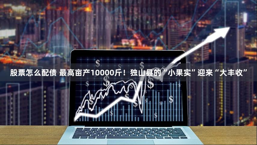 股票怎么配债 最高亩产10000斤！独山县的“小果实”迎来“大丰收”